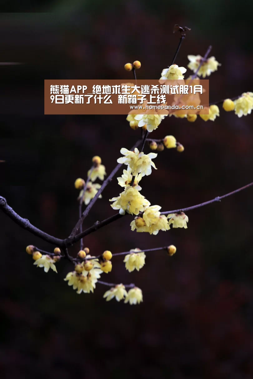 熊猫APP