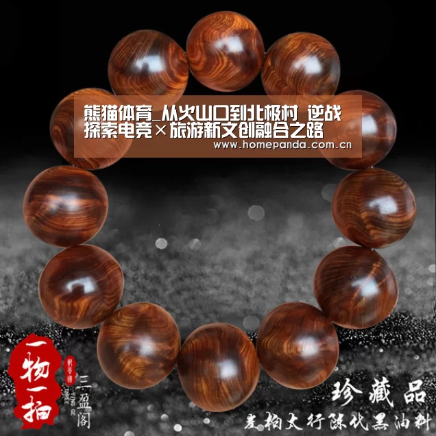 实时比分